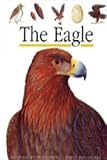 The eagle