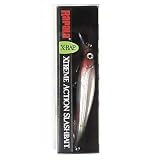 Rapala(ラパラ) X-RAP S(シルバー) XR10 XR10