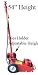 22 Ton Axle Air Hydraulic Jack Lift Floor Truck Bus