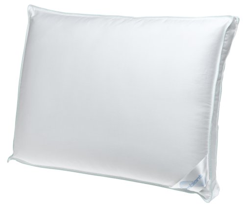 Ambient Holofiber Queen Pillow