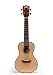 Kala Solid Spruce Top Concert Ukulele