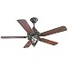 Monticello Outdoor Ceiling Fan by Savoy House