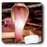 Snakes - Albino Siamese Cobra - Mouse Pads