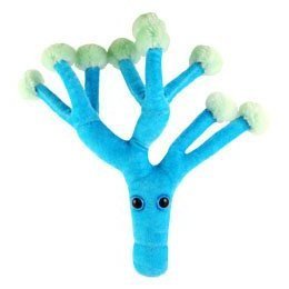 GIANT Microbes - Penicillin (Penicillium chrysogenum) - Plush Toy [Toy] [Toy]