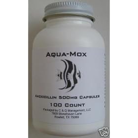 Aqua-Mox 500mg Amoxicillin Antibiotic 100 Capsules