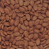 Pet Supplies : Nutro Natural Choice Complete Care Senior Cat Food- net wt. 4 lbs.