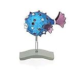 Swarovski Crystal Cleona Tropical Fish Obj