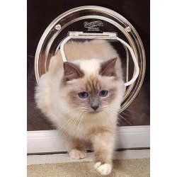 Small Pet Door for Glass Sliding Doors (Clear) (9.6