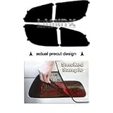 Buick Enclave 2008 2009 2010 2011 Taillight Vinyl Film Covers ( SMOKED ) by Lamin-x by Lamin-x