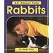Rabbits (All about Pets)