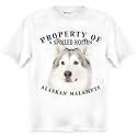 Alaskan Malamute Property Of Adult T Shirt