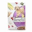 Purina Beneful Playful Life - 6 Pack