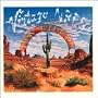 Vintage Nrps