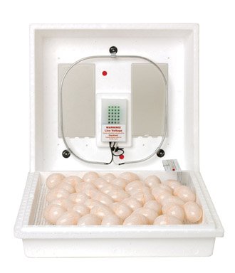 Still Air Incubator – White
