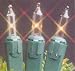 Orman Set of 100 Clear Mini Christmas Lights