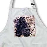 Dogs Cocker Spaniel - Black Cocker Spaniel - Aprons