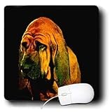 Dogs Bloodhound - Bloodhound - Mouse Pads