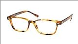 AUTHENTIC POLO by RALPH LAUREN EYEGLASSES Model: 0PH2017 Color: 5031 Size: 5216