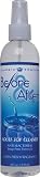 Before & After Anti-Bacterial Adult Toy Cleaner, 8oz Pump Bottle