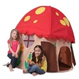 Mushroom House Play Structure