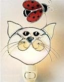 Cat and Ladybug