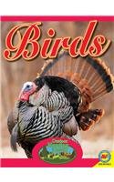 Birds with Code (Outdoor Hunting Guide)