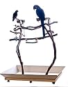Double Manzanita Activity Tree Stand - Parrot Playstand