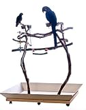 Double Manzanita Activity Tree Stand - Parrot Playstand
