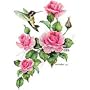 Hummingbird & Roses Adult T-Shirt