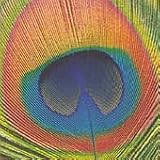 Music : Day of Colours
