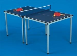 Ping Pong Table, Jr. Size