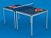 Ping Pong Table, Jr. Size