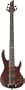 ESP LTD D5 5 String Electric Bass Guitar (Natural Satin Finish)