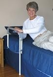 Assista Rail with Assista Cane 20 W x 17 H x 33 D Assista Rail with Assista Cane 20 W x 17 H x 33 D