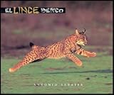 El Lince Iberico (The Iberian Lynx)