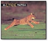 El Lince Iberico (The Iberian Lynx)