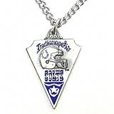 NFL Chain Necklace & Pewter Pendant - Indianapolis Colts