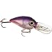 image 6 - Storm Wiggle Wart