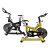 Fitnex Velocity Indoor Bike