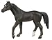 Safari: Arabian Mare_s-1
