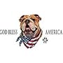 America-Bulldog Womens T-Shirt Dress