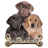 Lab Retriever Puppies Adult T-Shirt