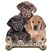 Lab Retriever Puppies Adult T-Shirt