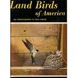 Land Birds of America