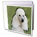   - Dogs Poodle - Standard Poodle - Greeting Cards-12 Greeting Cards with envelopes