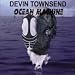 Search : Ocean Machine