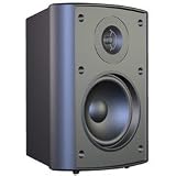 Buy Audiosource LS425 4-Inch 2-Way Indoor Outdoor 100 Watt Speaker (Black) by AudioSource