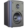 Audiosource LS425 4-Inch 2-Way Indoor/Outdoor 100 Watt Speaker (Black)