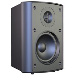 Audiosource LS425 4-Inch 2-Way Indoor/Outdoor 100 Watt Speaker (Black)