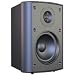 Audiosource LS425 4-Inch 2-Way Indoor/Outdoor 100 Watt Speaker (Black)